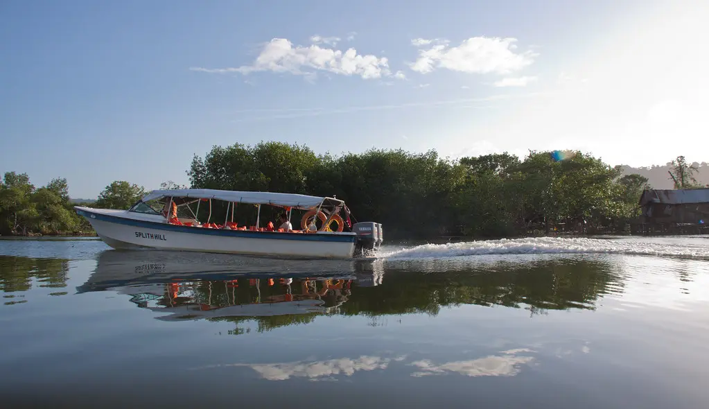 water taxi almirante bocas del toro - Cómo cruzar de Almirante a Bocas del Toro