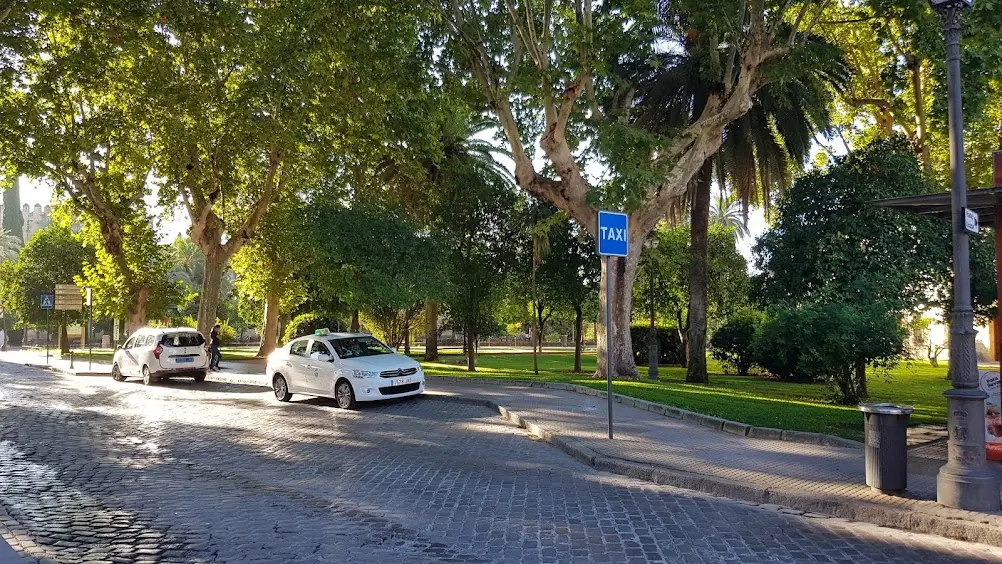 venta licencia taxi cordoba - Cuánto cuesta una licencia de taxi en Córdoba